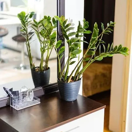 Apartment Hubane Korter Jaervel *