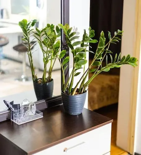 Apartment Hubane Korter Jaervel *